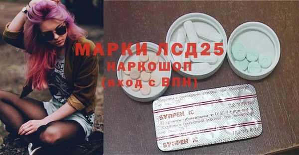 мяу мяу мука Магас