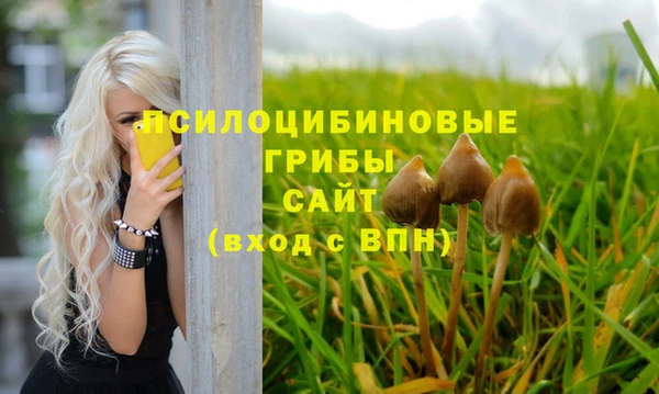 синтетический гашиш Михайловка