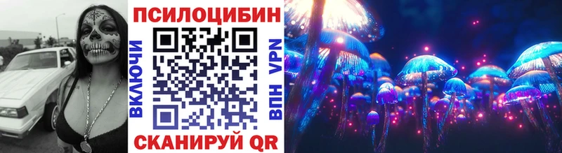 Купить  Апшеронск  Галлюциногенные грибы Cubensis 